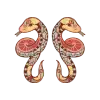 Gemini Zodiac Sign